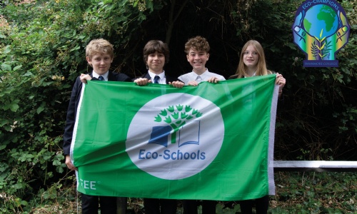 Latest News » Pupils at Swanmore College have once again been awarded a prestigious Eco-Schools’ Green Flag ​​​​​​